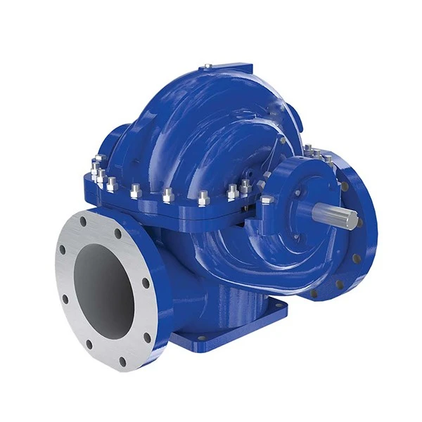 Double Suction Water Pump