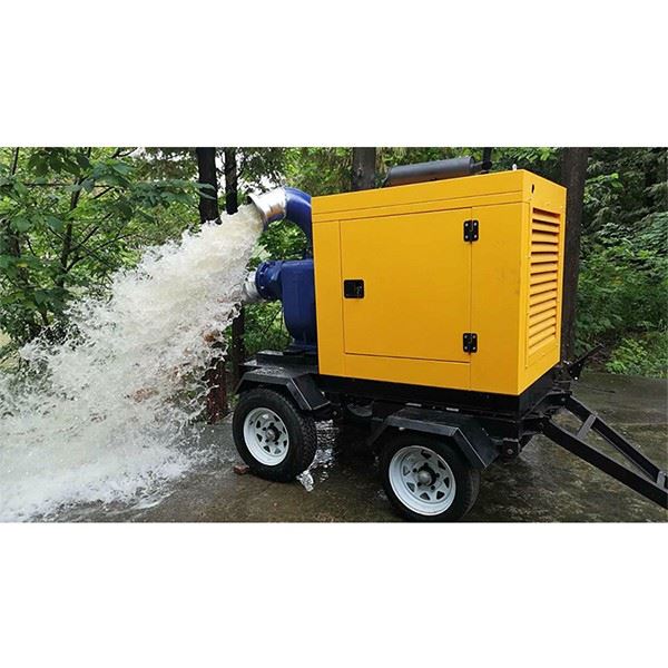 Trailer Water Pump